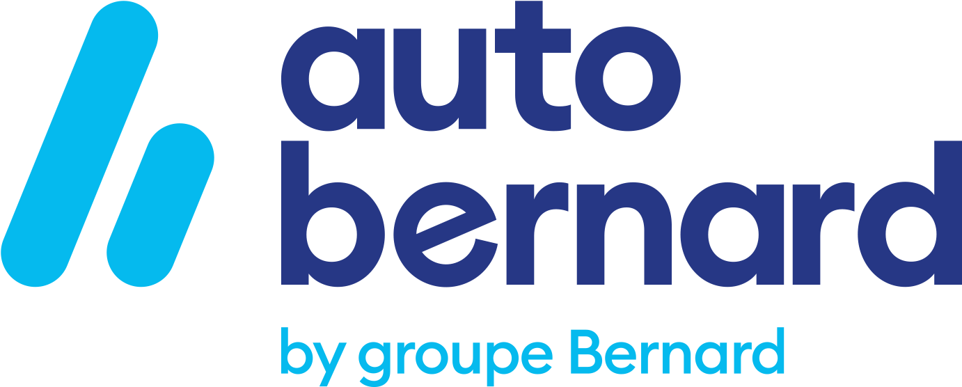 617a6dc6e389b7229e64e54e_AUTOBERNARD