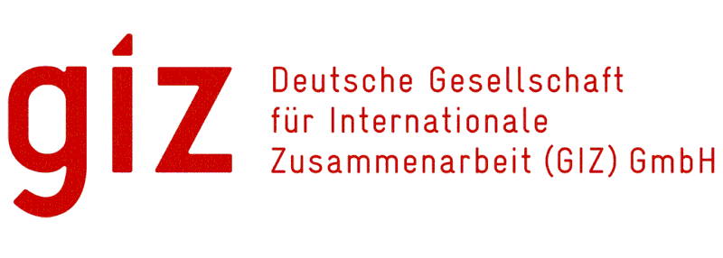 GIZ Logo
