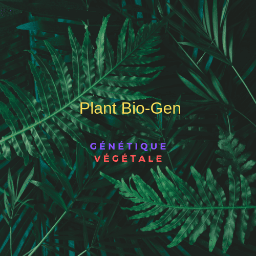Plant Biogen Lauréat 2019 