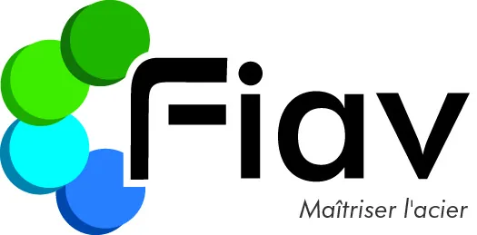 Fiav_general_logo